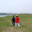 사구농장 이미지