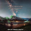 우리인사이트