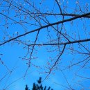 용재공원 이미지