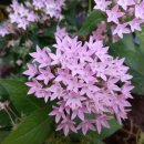 디어재즈오케스트라 콘서트 이미지