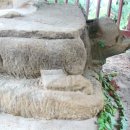 원각만물 이미지