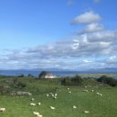 정든카정비 | 북유럽 2주여행,스타방에르에서 베르겐 가는 방법. city hostel bergen 베드버그 그리고 케이블카 후기!