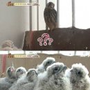 김명석농장 이미지