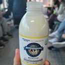 비고리조트 17 이미지