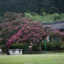 (주)리코랜드 이미지