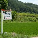 친환경민박 이미지