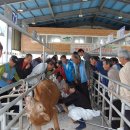 남해축산 이미지