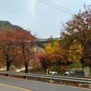 소요산광장약수터 | 경기도단풍 :: 감악산 출렁다리와 범륜사 단풍이 예년같진 않지만 좋아