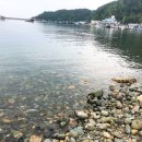 하동균중화요리 | [남해여행]남해 점심 중화요리 맛집 아리산면 "하동균중화요리" 솔직후기★★