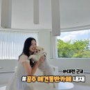 4413 | 공주 애견동반 카페 내재 대전 근교 드라이브 좋아