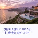 오션스테이7 이미지