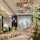 강남대로107길 24 | 강남 웨딩홀 신사역 더리버사이드호텔 웨딩 노벨라홀 2026년 하반기 견적 공유