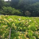 낭성산성 이미지