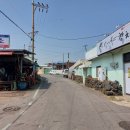 표선리-14 이미지