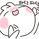 블루마린 캠핑장 이미지