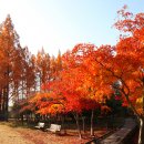 나주자원 이미지