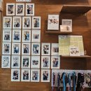 청주유기동물입양지원센터 개가 꿈꾸는 세상 이미지