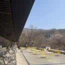 용인카페 코페아 플래그쉽 스페셜티 드립커피 내돈내산후기