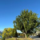 퀸스타운의원 이미지