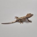 데메테르H 이미지