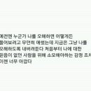 인간-항해일지 네이버블로그