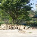 지리산건강원 - 음성군 탑골2길 14-1 | 지리산건강원