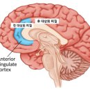 성화상회 - 중구 큰장로26길 32 | 성화상회