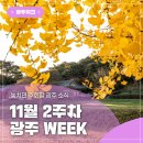 하반기 열린학습관 | 하반기세종과학콘서트&amp;과학뮤지컬‘가자 우주로!’후기, 시청에서 열리는 특별한 결혼식, 빛의 정원을...