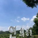 연희자연마당 공원 | 인천 연꽃 명소 연희공원 연희자연마당 🪷 숨겨진 연꽃정원 구경