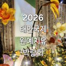 정성꽃원예 | 볼거리 많은 꽃축제, 2026 태안국제원예치유박람회 다녀온 후기