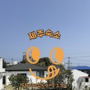 평대대수굴바당조끄띠 이미지