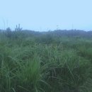 남원읍-67 이미지