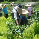 공원사 (주)경기 타임스