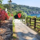남원읍-120 | 제주 서귀포 브런치카페 60빈스 추천｜올레길 7코스 바다뷰와 함께한 여유로운 티타임🌿