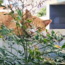 영도 진주해장국 | 부산 워케이션 생존기 Day3 더 휴일 데스커 업무공간 이용후기와 부산 여행