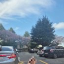 파란나무유치원 | 삼락생태공원 사상 자연생태 체험학교 후기 어린이도 가능