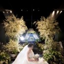 아바니 센트럴 부산 이미지