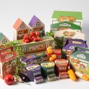 디자인 씨 이미지