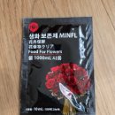 꽃봉우리 | 꽃집에서 바로 산듯한 싱싱한 꽃이 배송되어 오는 유스풀몰 후기