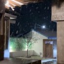 스테이 훔 이미지