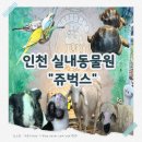 벅스 | 인천 실내동물원 쥬벅스 후기｜아이랑·데이트 둘 다 가능한 체험형 핫플