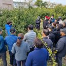 표선농협2 이미지