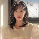 프라자헤어