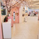 고양이 무마취미용&호텔 무냥무냥 부산서면점 | [고양이무마취미용] 무냥무냥 부산서면점 가격영업시간주차정보