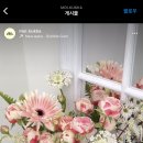 모이꾸까