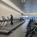 다이아 짐 이미지