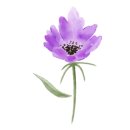 삼문초병설유치원 이미지