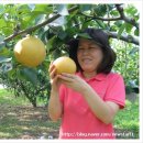 김미숙농장 이미지