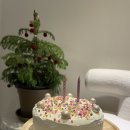 불국사 비상 8호 | 경주독채팬션 청춘한옥 다녀왔어요