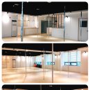 쟝폴 폴댄스 이미지